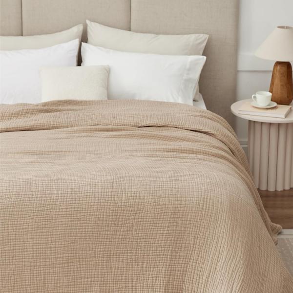 Dreamsoft Eggshell Blanket